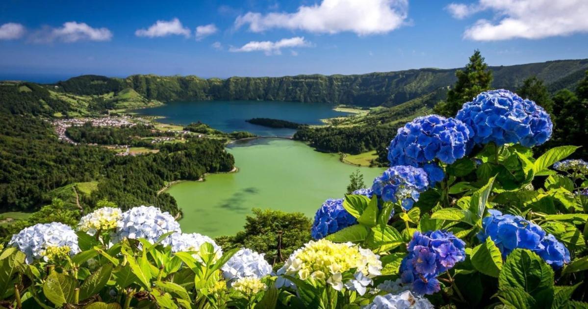 Barrocas Villas Azores São Roque Zewnętrze zdjęcie